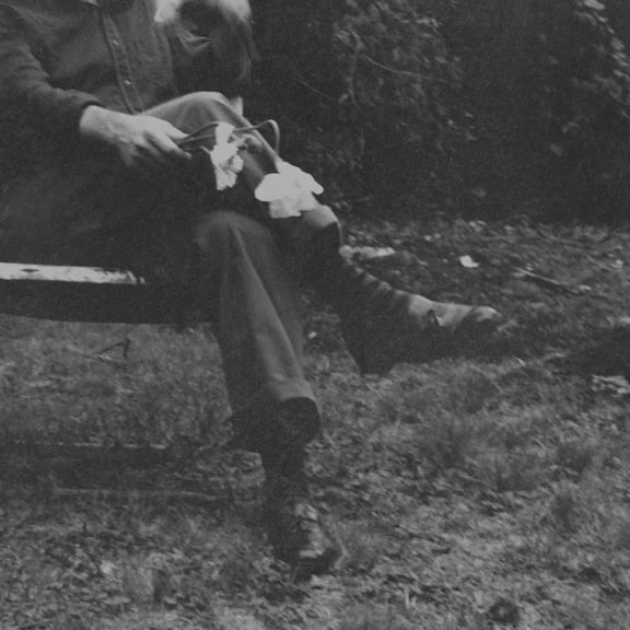 Needtobreathe - The Long Surrender - Music & Performance - CD