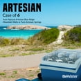 thumbnail image 2 of Be Water Artesian (Case of 6) Natural Alkaline North Carolina Wells & Pure Artisanal Springs - Ionized Premium Bottled Drinking BPA Free Hydration, 2 of 7