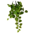 thumbnail image 1 of Vickerman 18" Grn Pothos Leaf Hanging Bush 3/Pk - FZ190718, 1 of 3