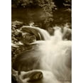 thumbnail image 2 of Vitaly Geyman 14x18 White Modern Wood Framed Wall Art Titled - Sepia Waters III, 2 of 5