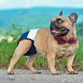 thumbnail image 4 of Collar de gato de algodón PU, Collar de entrenamiento de perro con lazo ajustable, lindo para niña o niño perro Hugtrwg Para estrenar, 4 of 8