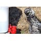 thumbnail image 4 of Paquete de 2 - Kit automático de bebedero de taza de pezón de agua de pollo para aves de corral Adepaton XSD-110-3, 4 of 7