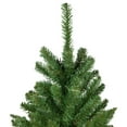 thumbnail image 3 of Northlight Pencil White River Fir Artificial Christmas Tree - 7.5' - Unlit, 3 of 6