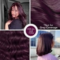 thumbnail image 6 of Paradyes No Bleach Velvet Burgundy Glossy Hair Tint, 6 of 9