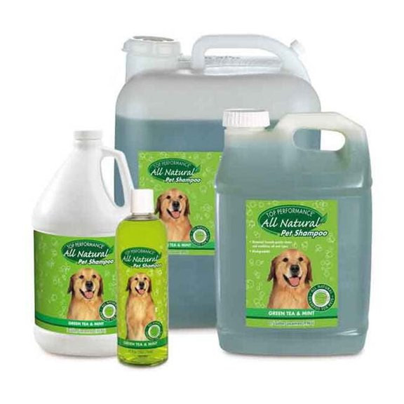 Top Performance Green Tea & Mint Shampoo 2.5Gallon
