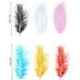 thumbnail image 3 of 300PCS Colored Feathers 4-6in, 6 Colors Ostrich Feathers for DIY Crafts Carnival Costumes Wedding Holiday Party Decorations, 3 of 7