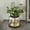 Vase+greenery+light, variant on Vintglfarmhouse Vase Rustic Lantern Decor With Plants Lavenders Lights Style For Home Flarrangement Housewarming Hostess Gift