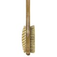 thumbnail image 3 of Urban Spa - Body Brush-Anti Cellulite, 1 Unit, 3 of 5