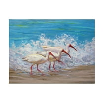 Canvas Wall Art - Sandy Nelson 'Surf Fishing' Wall Art for Living Room, Bedroom, or Office Décor by Trademark Fine Art - 19 x 14 Inches