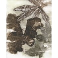 thumbnail image 2 of Phillips, Kathryn 12x14 Black Ornate Wood Framed with Double Matting Museum Art Print Titled - Oak Leaves, 2 of 4