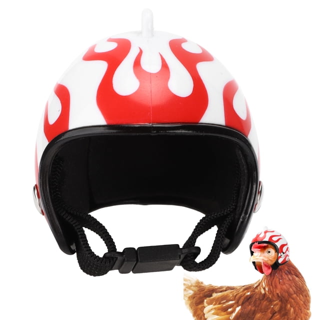 Casco para pájaros casco con gorro de pollo ajustable para pájaros ANGGREK Otros