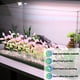 thumbnail image 3 of Juego de 10 plantas artificiales de plástico para decoración de peceras de acuario, 3 of 5