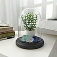 thumbnail image 3 of Plymor 4" x 5.25" Glass Display Dome Cloche (Black MDF Wood Base), 3 of 4