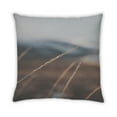 thumbnail image 2 of Ahgly Company Plants Grass Indoor Throw Pillow, 18 inch by 18 inch, 2 of 6