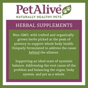 PetAlive Thyro-Pet Herbal Drops for Dog & Cat Thyroid Support - Herbal Liquid Thyroid Formula with Bladderwrack, Astragalus, Nettle Leaf, Supports Healthy Thyroid Function - 2 Fl Oz