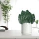 thumbnail image 5 of 20 hojas de monstera decorativas para el hogar, jardín, exterior, interior, hojas artificiales, decoración del hogar, accesorios fotográficos, 5 of 8