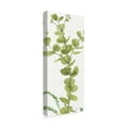thumbnail image 2 of Trademark Fine Art 'Mixed Greens LX' Canvas Art by Lisa Audit, 2 of 3