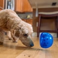 thumbnail image 2 of Juguete Interactivo Planet Dog Orbee-Tuff Azul Real dispensador pequeño para Perro, 2 of 8