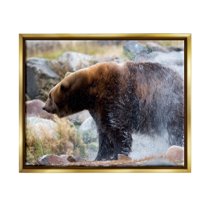 Stupell Industries Bear Bathing In Stream Photography Animals & Insects Photography Gold Floater Framed Art Print Wall Art