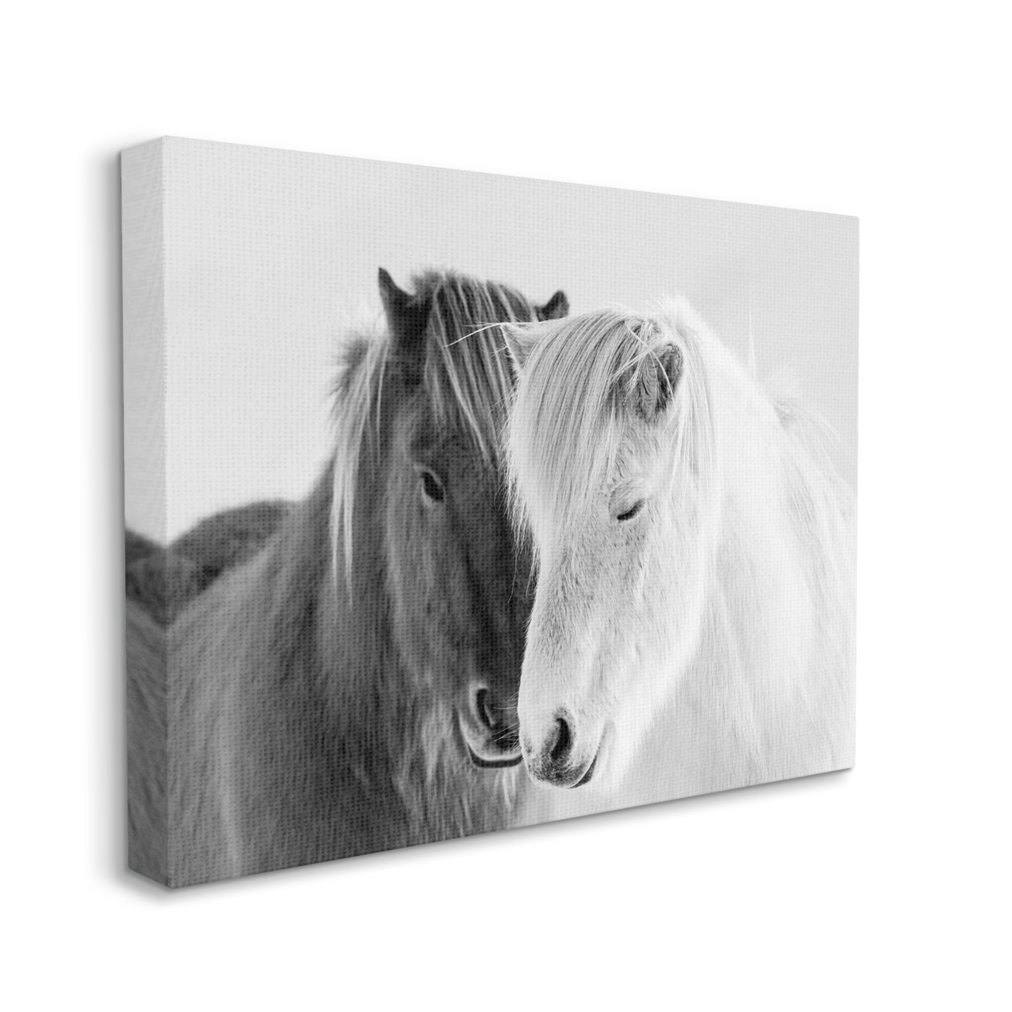 Stupell Industries Wild Horse Animal Pair Black White Southwestern Photograph, 30 x 24, Design by Danita Delimont