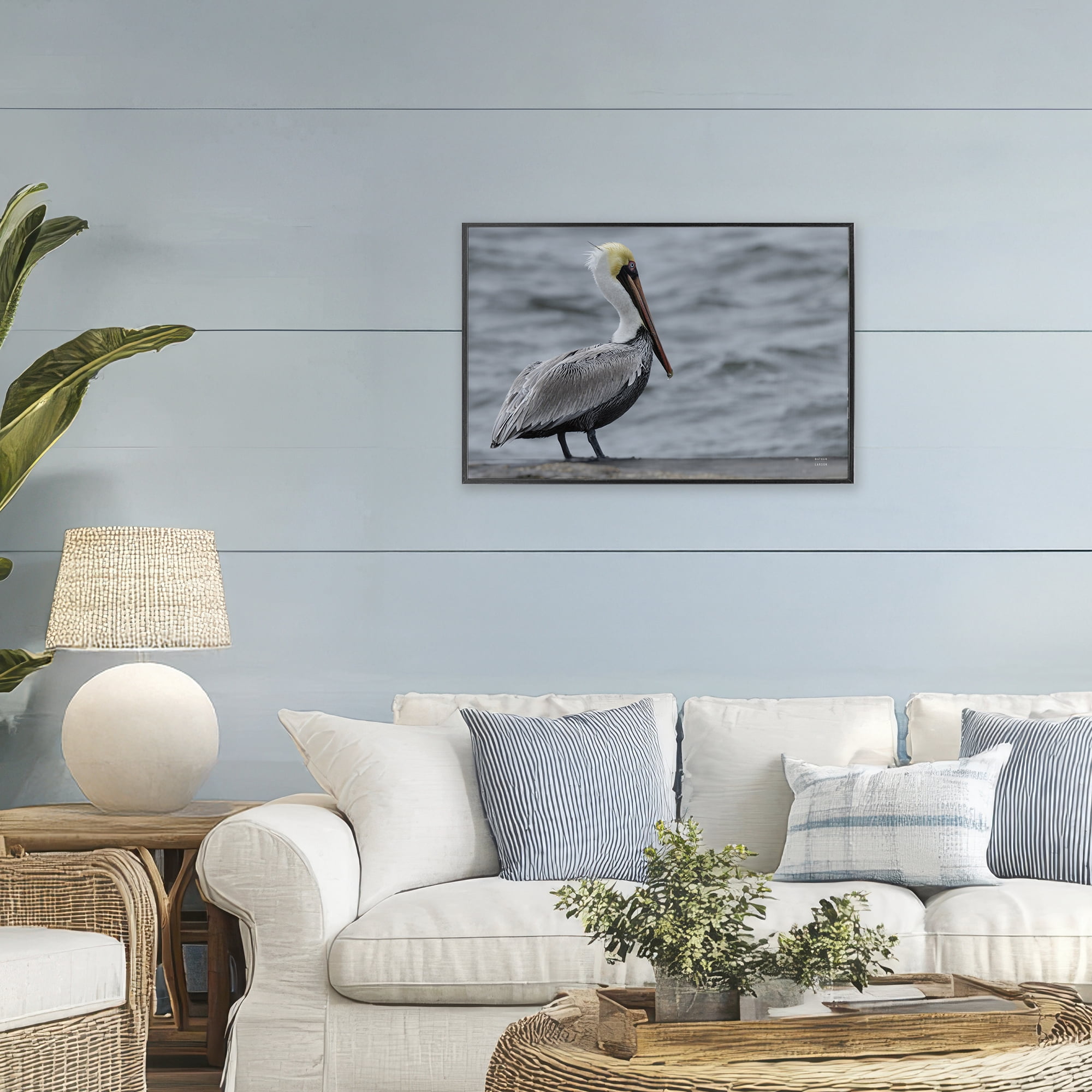 Stupell Industries Pelican Watch Photography Black Framed Giclee Art, design by Nathan Larson