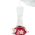 thumbnail image 2 of Perky-Pet Top-Fill Favored Pinch-Waist Glass Hummingbird Feeder – 20 oz, 2 of 6