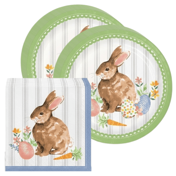 Spring Cottage Bunny Paper Plates and Napkins Set, 24 Piece Disposable Tableware Bundle, 9 Inch Dinner Plates with 2-Ply Napkins, Service for 16, Pastel Spring Party Supplies