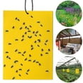 thumbnail image 4 of 50 Uds Trampas Adhesivas Doble Cara 8x6 Pulgadas Trampas para Moscas La Mata Mosquitos Amarillos, 4 of 9