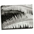 thumbnail image 2 of Gango Home Decor Fern II by Jim Christensen (Ready to Hang); One 24x18in Hand-Stretched Canvas, 2 of 4