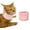 Pink, variant on NCQ Cat Neck Brace Cover - Breathable Elizabethan Collar for Post-Surgery Recovery Anti-Lick Wound Adjustable Protective Cervical Cone for Small Medium Large Dogs Cats (Neck Girth 9.1-11.8" Depth3.2