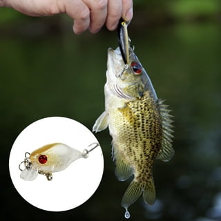 1Pcs Floating Grasshopper Fishing Lure 7.5cm 8g Plastic Insect Wobbler  Artificial Hard Bait Crankbait Bass