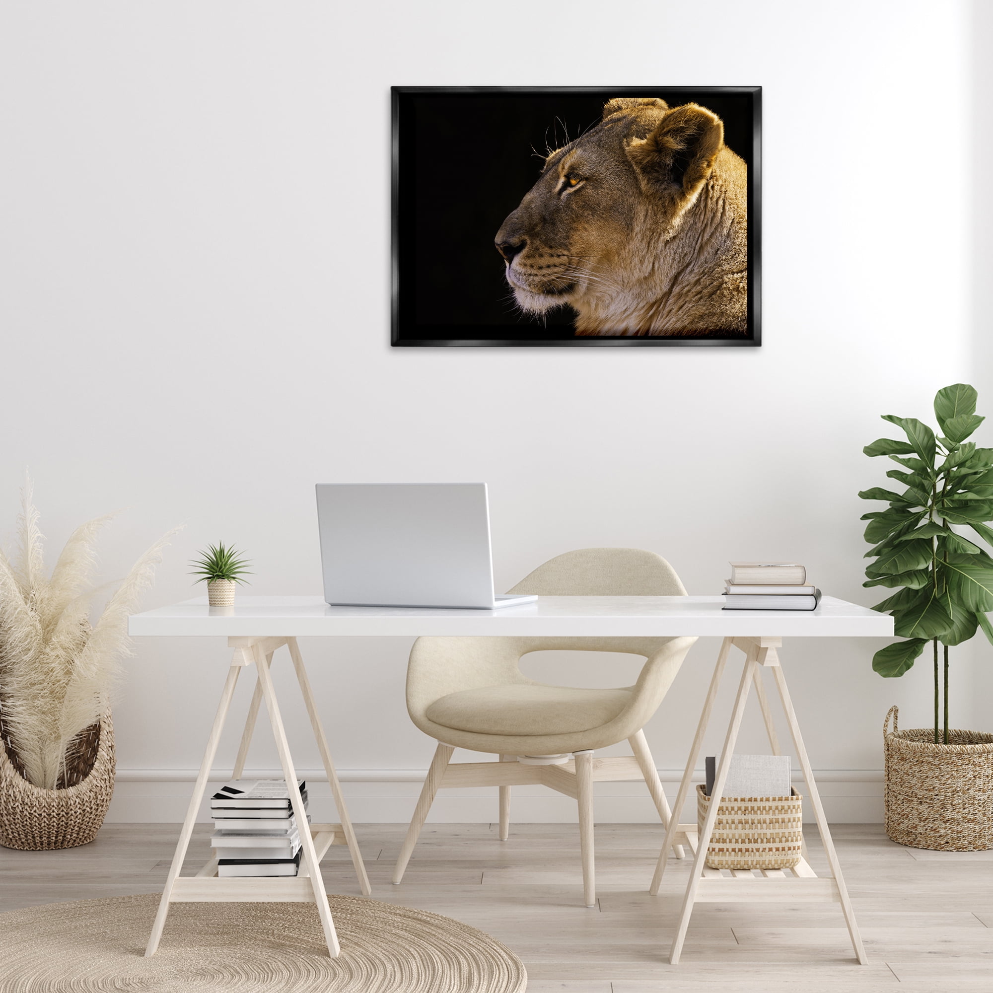 Stupell Industries Fierce Lion Looking Left Animals Photography Black Floater Framed Canvas Art Print Wall Art, 31 x 21