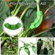 thumbnail image 5 of Doblador de plantas de 90 grados, 30 piezas de ramas de entrenamiento de bajo estrés para dobladores, alicates para doblar, alicates para ramitas Entrenador de plantas de tomate (30, verde), 5 of 5