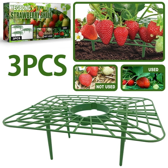 Diy Strawberry Plant Supports