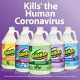 thumbnail image 3 of OdoBan Disinfectant Cleaner and Odor Eliminator Concentrate, Original Eucalyptus Scent, 1 gal, 3 of 9