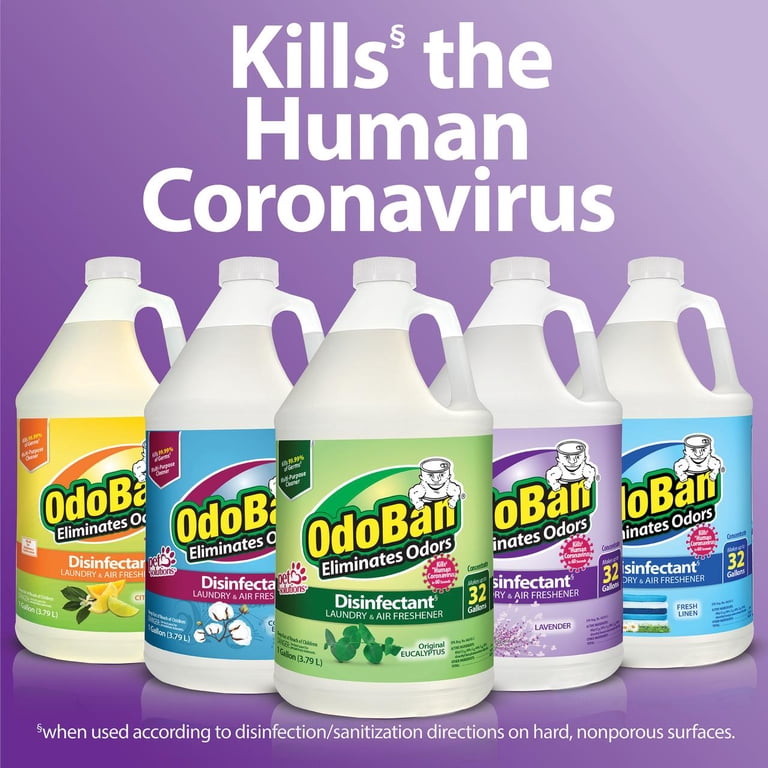 OdoBan Concentrate Cleaner, 1 Gallon, Eucalyptus photo 8