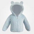 thumbnail image 2 of DJDLJWCJ Toddler Baby Boys Hooded Jacket Fleece Lined Warm Jacket Full Zipper Winter Coat Sky Blue Size 12-18M, 2 of 2