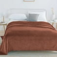 thumbnail image 3 of TIELUTT Border Plain Coral Velvet Blanket Solid Color Farai Velvet Blanket Cloud Velvet Bohemian Soft Blanket Heated Blanket Small Blanket Full Size Bed Throw Blanket Washable Sheet Blanket, 3 of 5