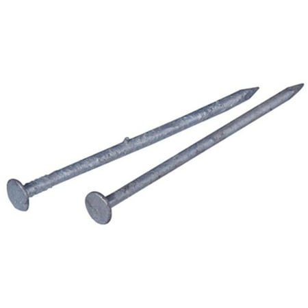 

461561 3.5 in. 16D Galvanized Box Nail
