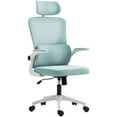 thumbnail image 1 of Vinsetto Mesh Office Chair with Headrest, Lumbar Support, Light Blue, 1 of 10