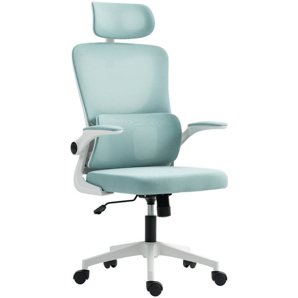 Vinsetto Mesh Office Chair with Headrest, Lumbar Support, Light Blue