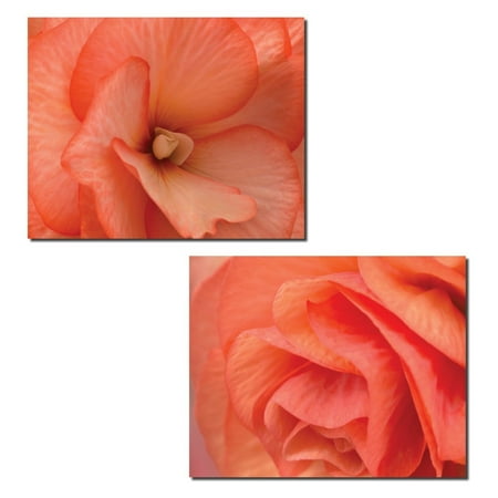 - Orange Ruffles | Gorgeous Orange Coral Blooming Roses Photograph Prints; Two 14x11in Poster Prints