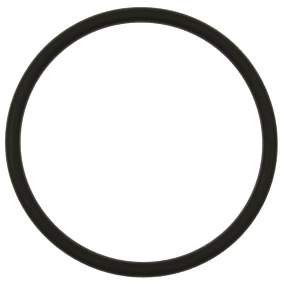 Standard Ignition Fuel Pump O-Ring