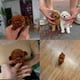 thumbnail image 3 of Interactive Robot Puppy Toy - Cute Walking & Barking Plush Dog for Kids, 3 of 4
