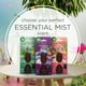 thumbnail image 5 of Air Wick Essential Mist de triple recarga, color negro, loto y violeta, 5 of 5