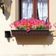 thumbnail image 4 of 12 paquetes de flores artificiales para exteriores resistentes a los rayos UV, flores falsas que no se desvanecen, plantas de imitación, jardín, porche, ventana, caja decorativa Ormromra HMHZ1165-5, 4 of 8