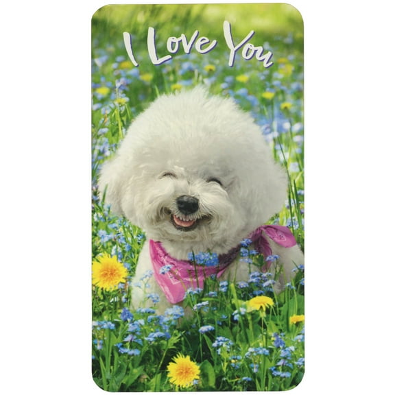 Avanti Press Happy White Dog with Pink Scarf in Flower Field Oversized Little Big Funny Mother's Day Card