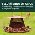 thumbnail image 4 of Perky-Pet Red Cardinal Wild Bird Feeder - 2.5 lb Capacity, 4 of 11
