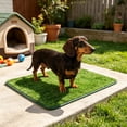 thumbnail image 5 of Reusable Artificial Grass Dog Potty Pad 27.6x18.1 in Washable Fake Turf Pee Mat Non-slips Pet Toilet Trainer for Indoor Outdoor Housebreaking, 5 of 6