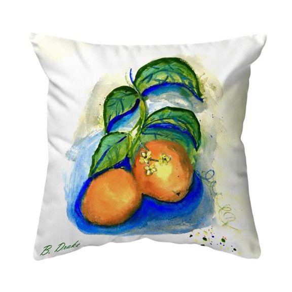 Betsy Drake NC1206 18 x 18 in. Two Oranges Noncorded Pillow - Large